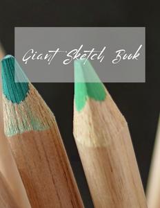 Giant Sketch Book: Workbook for Drawings,Doodlings and Illustrations (Independently published)