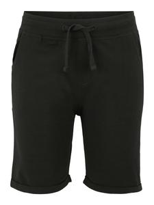 Шорты Venice Beach VB Carlotti, черный