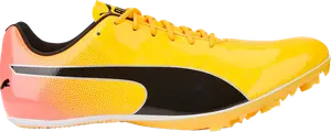 Бутсы Puma evoSpeed Sprint 14 Sun Stream Sunset Glow, желтый
