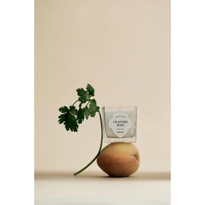 Маленькая ароматическая свеча H&M, Cilantro Bliss