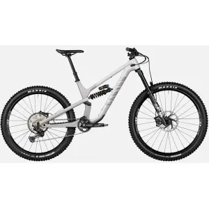 Горный велосипед Canyon Spectral Mullet CF 8 CLLCTV, серый