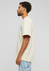 Футболка с принтом OG EAGLE TEE Karl Kani, цвет Light Sand Light Blue