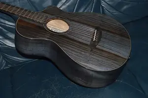 Breedlove Бридлав Орегон Концертина Бурная Ночь CE 2024 - Бурная Ночь