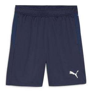 Мужские шорты Puma teamGOAL Training Short 658643