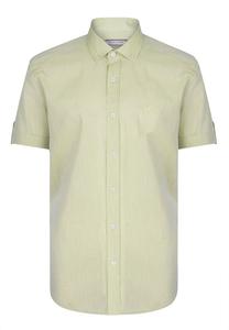 Рубашка на пуговицах классического кроя Felix Hardy, пастельный зеленый