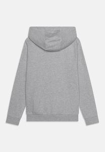 Толстовка ZIP THROUGH HOODIE Lyle & Scott, светло-серый