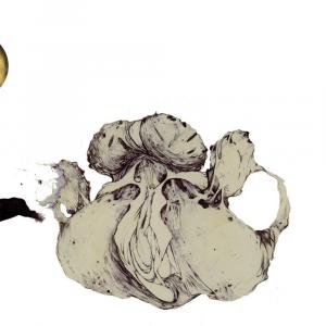 Виниловая пластинка LP The Ape Of Naples - Coil