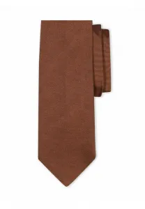 Простой галстук Brooks Brothers, Brown