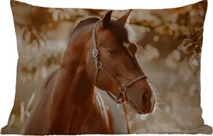 Подушка для улицы Лошадь, Солнце, Портрет, Природа, коричневая, 60 x 40 см, водонепроницаемая, подушка для отдыха, декоративная подушка, подушка для дома MuchoWow