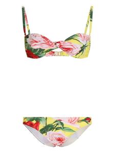 Dolce & Gabbana бикини с принтом, желтый