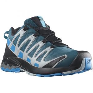 Кроссовки для бега по пересеченной местности Salomon XA PRO 3D V8 GORE-TEX (Legion Blue Blithe Pearl Blue) для мужчин