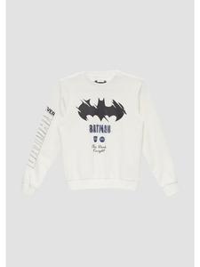 Толстовка в цвете 0210_ecru s.Oliver