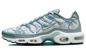 Кроссовки Nike Air Max Plus 'Waterway', синий