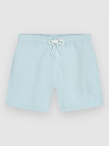 Пляжные шорты O'Neill Vert 14″ Kids Boardshorts, morning glory