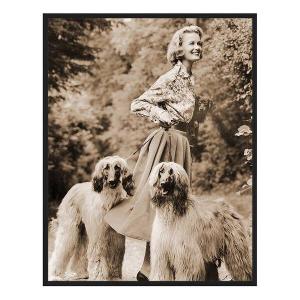 Картина Any Image With the dogs, 73x93x2,5 см