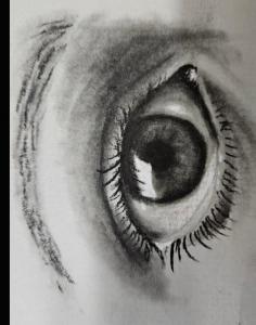 The Eye Journal (Independently published)