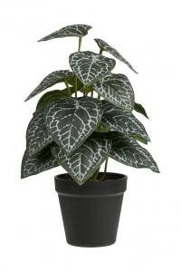 Искусственное растение в горшке 33 см House Nordic, зеленый