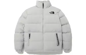 Коллекция 1996 года, пуховик мужской серый The North Face, серый