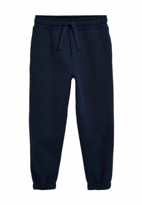 Спортивные штаны PLAIN Next, темно-синий
