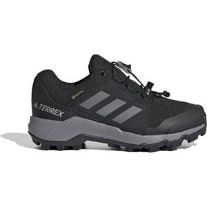 Походные ботинки Terrex Gore-Tex Adidas, мультиколор