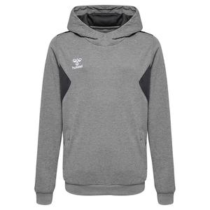 Худи Hummel Authentic PL, серый