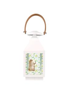 Mr. & Mrs. Panda Фонарик-медведь, мыльные пузыри без слов, прозрачный