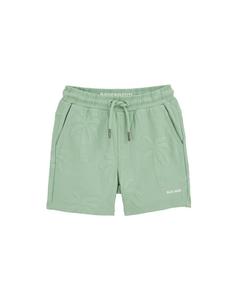 Обычные брюки WE Fashion, зеленый