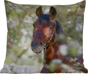 Подушка для улицы - Лошади - Цветение - Весна - Животные - 50 x 50 см - Водонепроницаемая - Подушка для отдыха - Удобная - Подушка с рисунком MuchoWow