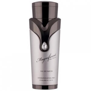 ARMAF Magnificent Pour Homme Парфюмированная вода 100мл