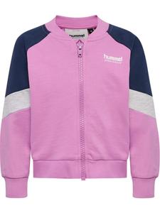 Детская тренировочная куртка "Mini Loose Block Zip Jacket" фиолетового цвета Hummel