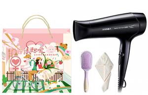 Электрический фен для волос RD2201 2200W с отрицательными ионами для ухода за волосами высокий мощность шесть скоростей для парикмахерской студенческого общежития SID