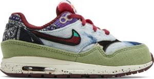 Кроссовки Nike Concepts x Air Max 1 SP TD 'Mellow', многоцветный