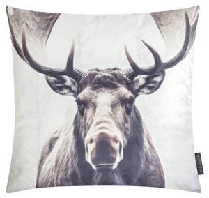 Наволочка Magma-Heimtex Wild Animals, серый