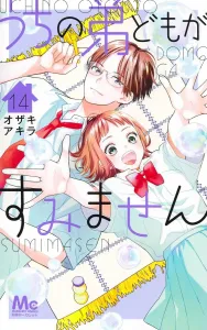 I'm Sorry About My Brothers 14 (Margaret Comics)