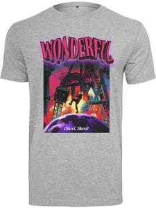 Футболка серого цвета Mister Tee