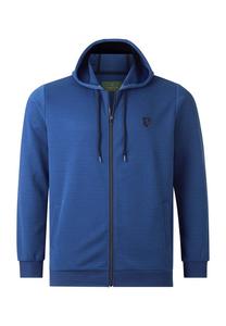 Толстовка Дюка Трея Charles Colby, синий