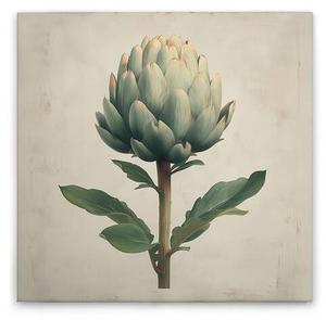 Картина на холсте A.S. Création Artischocke цвет cremebeigegrün