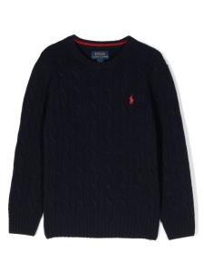 Джемпер Polo Pony Ralph Lauren Kids, синий