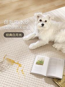 Dajiang Ковер 140x200 см для гостиной/спальни, простой дизайн, легкий в уходе, waterproof, нескользящий, Paitiya