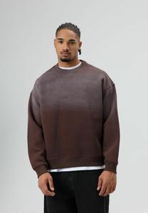 Толстовка Lucy & Sam OMBRE, Brown