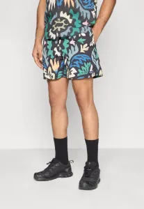 Шорты baggies для активного отдыха Patagonia, Black