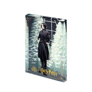 Коллекция Гала Гарри Поттер мистические боксы одиночный мистический бокс/полный бокс 6 шт POP MART