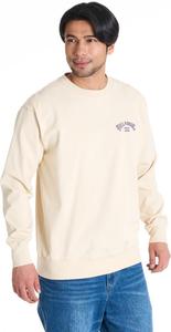 Мужская толстовка Billabong Arch Logo