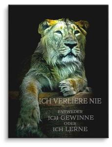 Картина на холсте ArtMind Ich gewinne oder lerne, многоцветный