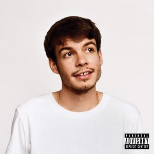 Виниловая пластинка LP PONY [Explicit] - Rex Orange County