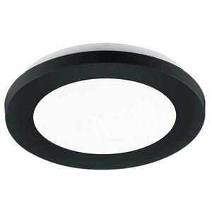 Потолочный светильник Trio Camillus I