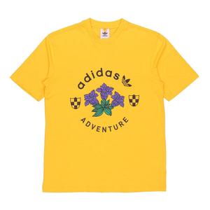 Футболка adidas originals adventure T-shirt 'Yellow', желтый