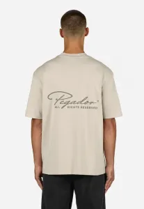 Футболка оверсайз с принтом pike Pegador, Washed Cozy Beige/Flint Grey
