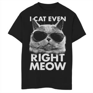 Футболка с рисунком Fifth Sun Right Meow Cat Shades для мальчиков 8–20 лет Fifth Sun