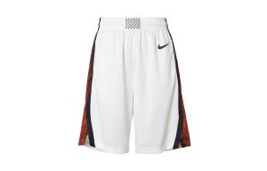 Баскетбольные шорты мужские белые Nike, белый